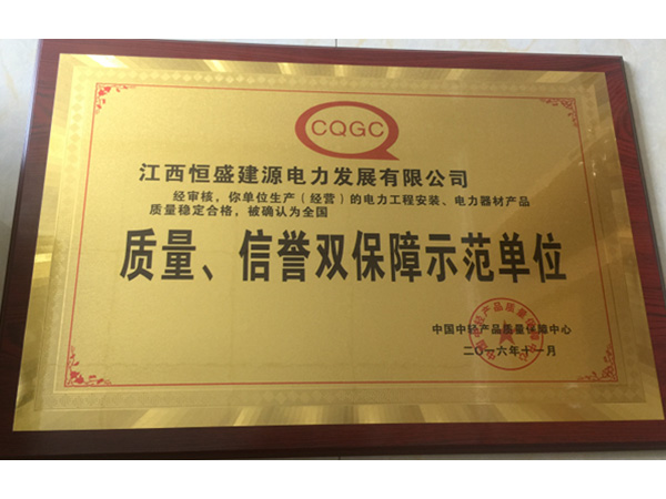 質(zhì)量、信譽(yù)雙保障示范單位