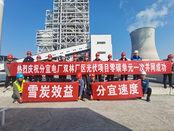 分宜電廠雙林廠區(qū)光伏項目 