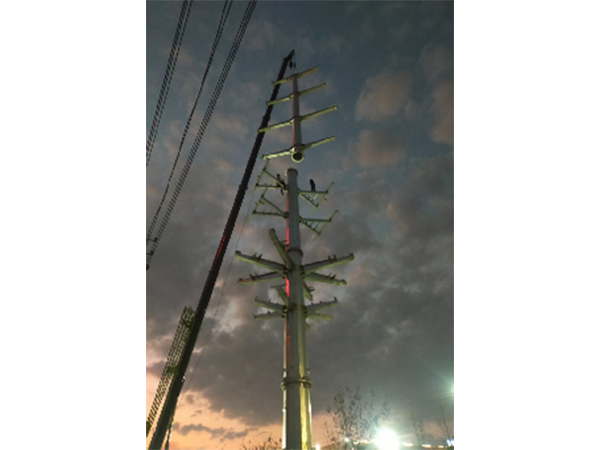 埠頭-高興、埠頭-小山π入南外變110KV線(xiàn)路新建工程